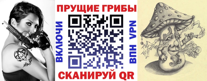 Галлюциногенные грибы Psilocybine cubensis  Богучар 